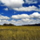 Nexttop Cumulus Clouds